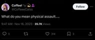 User @CoffeeeCatss wanted the streamer to elaborate on the physical assault allegations (Image via X)